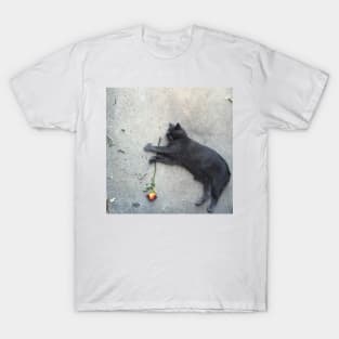 A Cat by Any Other Name Would Be as Sweet T-Shirt